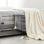 Crate Cover vs Blanket: Fit, Airflow, Chew Risk and Cost Compared