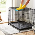 How Often Should You Clean a Dog Crate? A Daily, Weekly and Monthly Routine